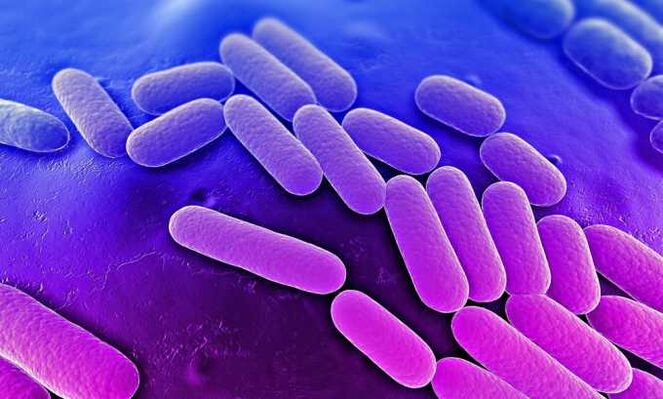 Geneesmiddelen stoppen de groei van bacteriën